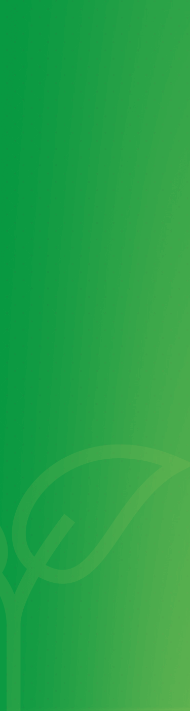 bg-mobile-servicos.png