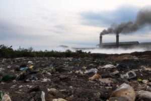 Danos ambientais causados pelo homem: veja 3!