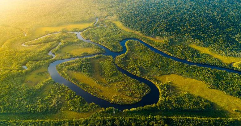 Dia do Pantanal: confira medidas para preservar a natureza na empresa!