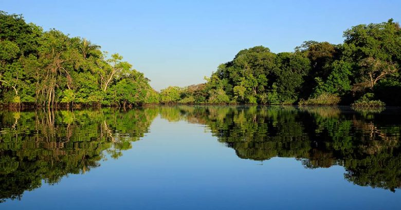 Dia Nacional da Amazônia Azul: ajude a conservar os recursos hídricos