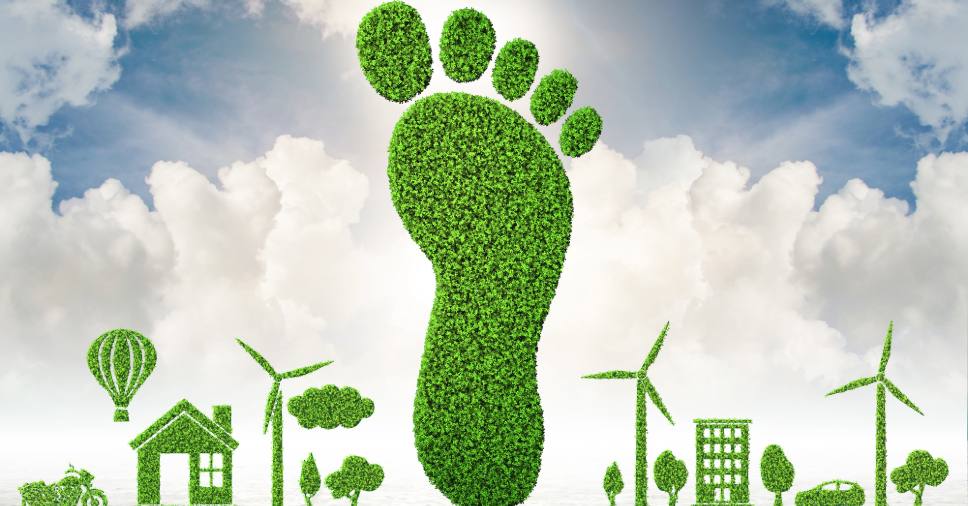O que é pegada ecológica e como ela afeta o futuro do planeta?