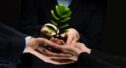 Como evitar greenwashing e gerar confiança?