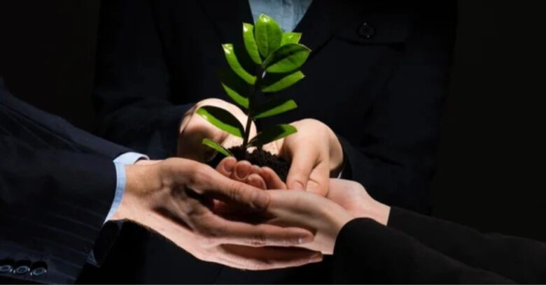 Como evitar greenwashing e gerar confiança?