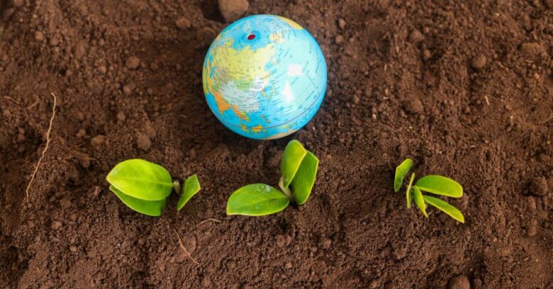 Miniatura da Terra cercada por mudas germinando no contexto de ESG e socialwashing nas empresas.