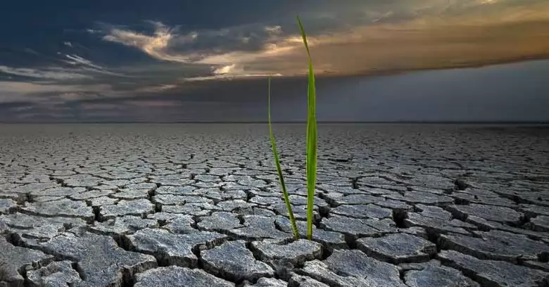 Geologia Ambiental nas empresas