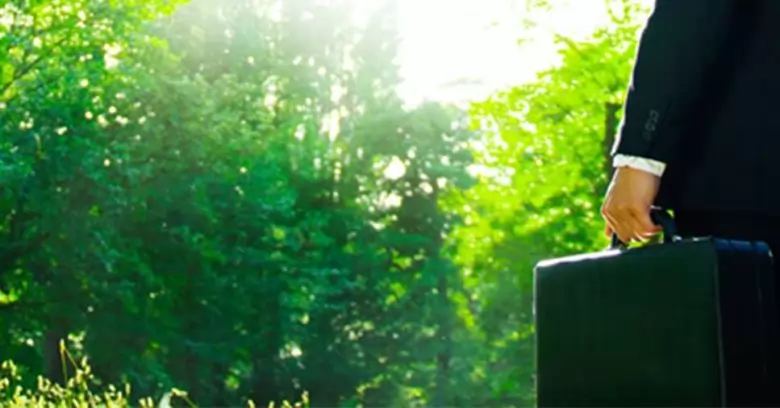 Consultoria Ambiental vale a pena? Descubra!