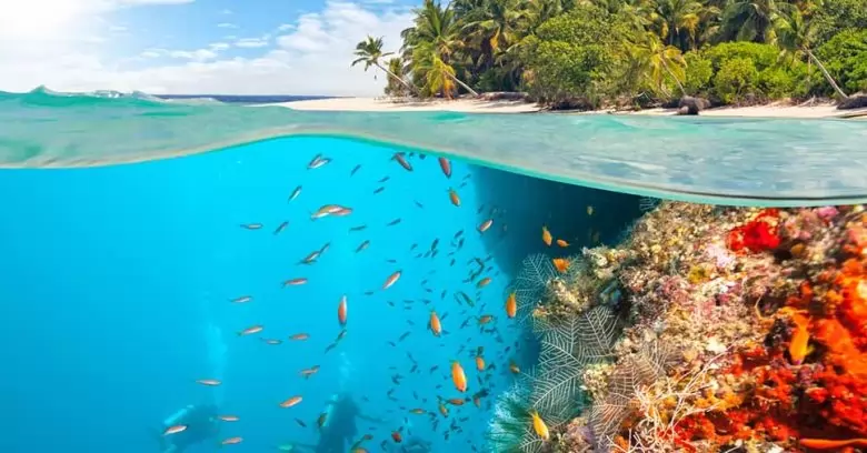 Conhecendo as principais ameaças à diversidade biológica