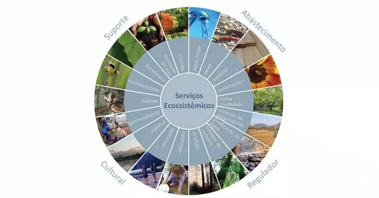 O que são serviços ecossistêmicos?