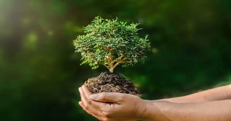 Investigação Ambiental: entenda o que é