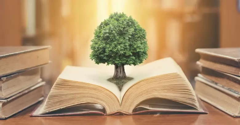 gestão escolar e educação ambiental