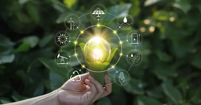 3 R’s? Entenda mais sobre os princípios e sua importância!