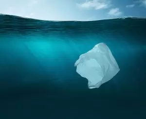 Uso de sacolas plásticas no mar