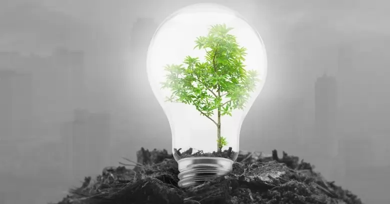 lâmpada como um dos equipamentos sustentáveis
