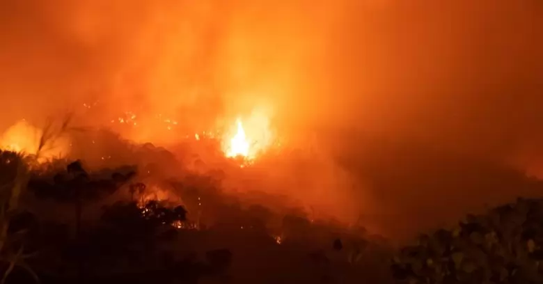 Incêndio na Amazônia: desastre que chocou o mundo!
