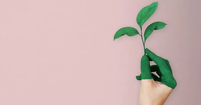 preservação e conservação ambiental