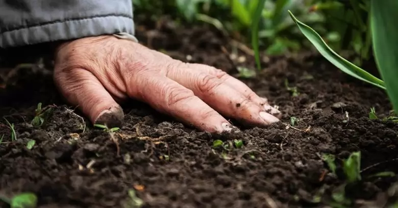 Mão sobre a terra o que é remediação ambiental