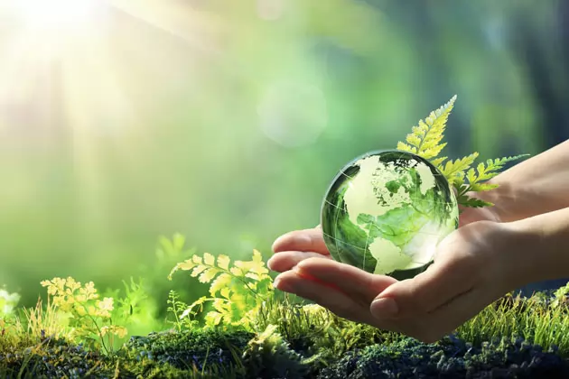 Mãos segurando um globo verde na auditoria ambiental