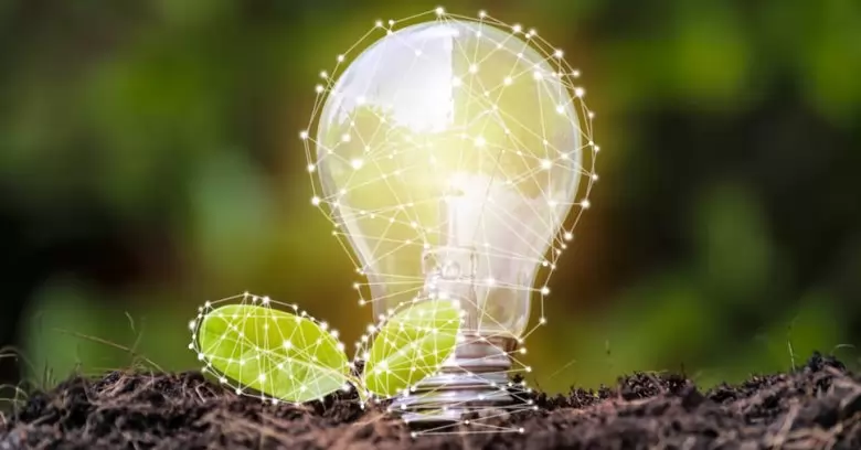 Lâmpada remete à natureza na auditoria ambiental