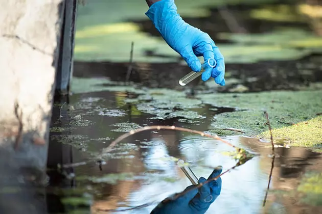 mãos com luvas coletando água do rio para fazer um diagnóstico ambiental