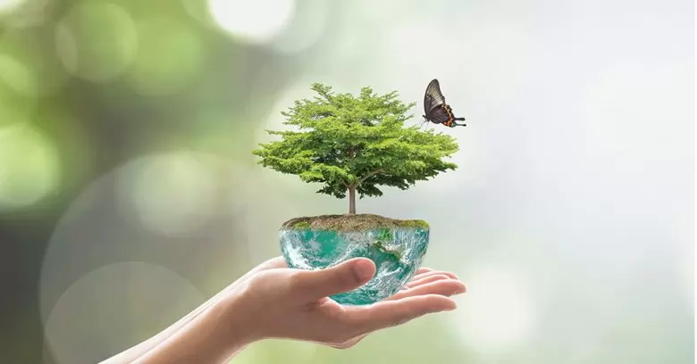 Na imagem vemos uma representação de um ecossistema saudável. Veja qual a importância do Dia Mundial do Meio Ambiente!