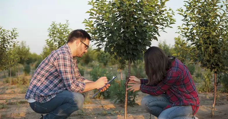 Aprenda 5 vantagens da contratação de uma consultoria ambiental