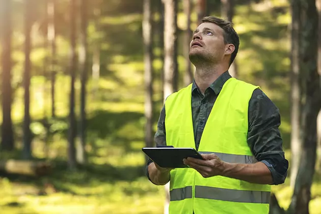 Ter profissionais especializados é umas das vantagens em contratar a consultoria ambiental