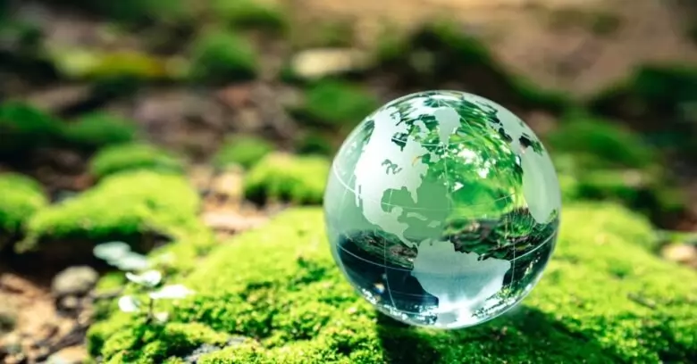 Conhece esses termos do meio ambiente em inglês?