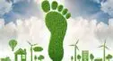 O que é pegada ecológica e como ela afeta o futuro do planeta?