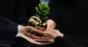 Como evitar greenwashing e gerar confiança?