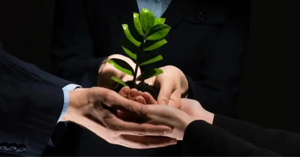 Como evitar greenwashing e gerar confiança?